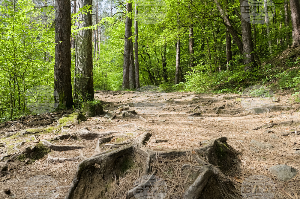 Подходящи са условията за туризъм в планините, съобщиха от Планинската спасителна служба на БЧК