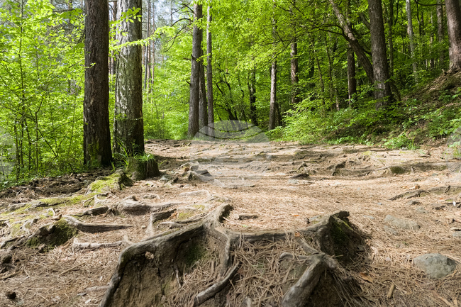 Подходящи са условията за туризъм в планините, съобщиха от Планинската спасителна служба на БЧК