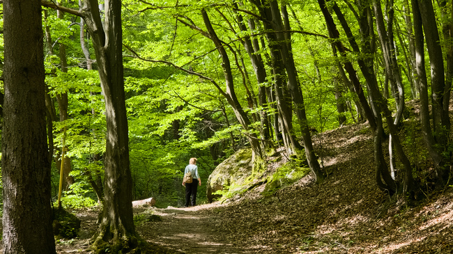 Good Weather for Mountain Hiking until Noon on Thursday, Storms Expected After