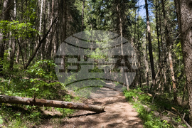 Витоша - хубаво време