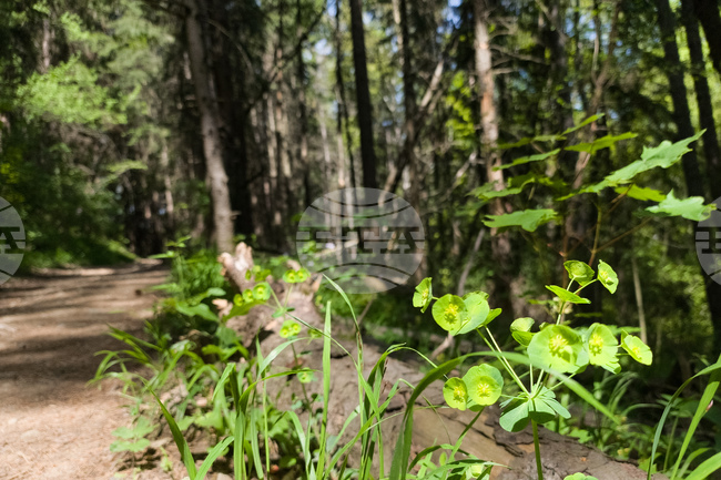 Добри са условията за туризъм в планините, следобед може да се заоблачи, съобщиха от Планинската спасителна служба на БЧК
