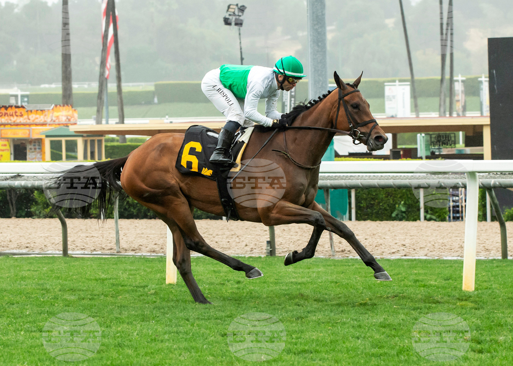 Santa Anita Horse Racing