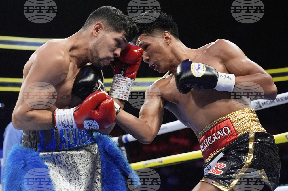 Leon Vargas Boxing