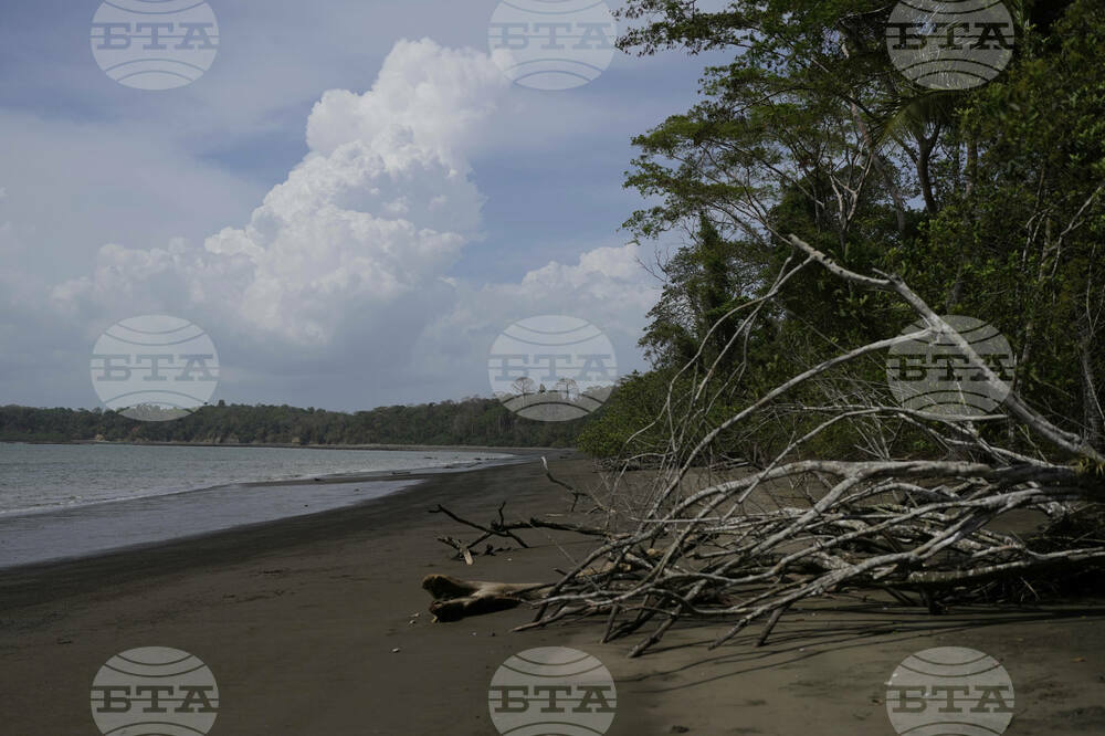 Panama Migration Environmental Impact