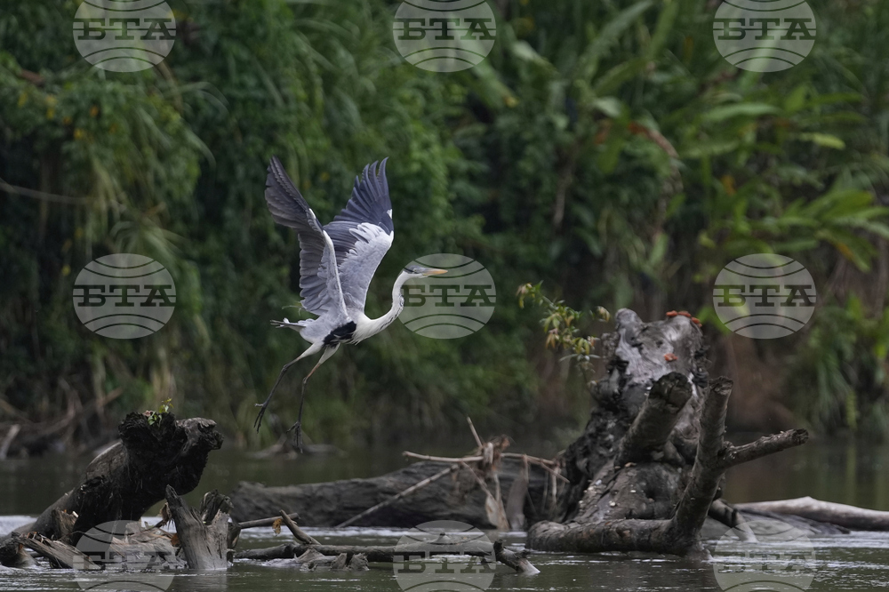Panama Migration Environmental Impact