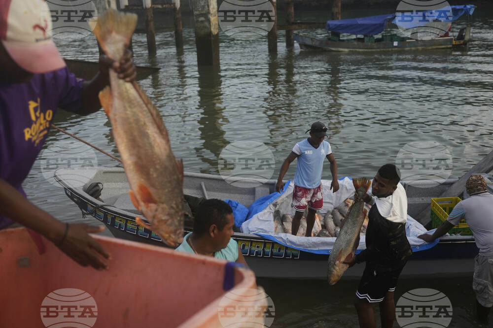 Panama Migration Environmental Impact