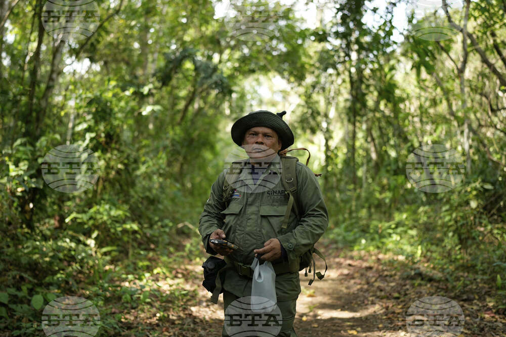 Panama Migration Environmental Impact