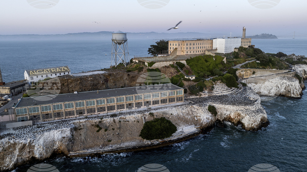 Trump Alcatraz