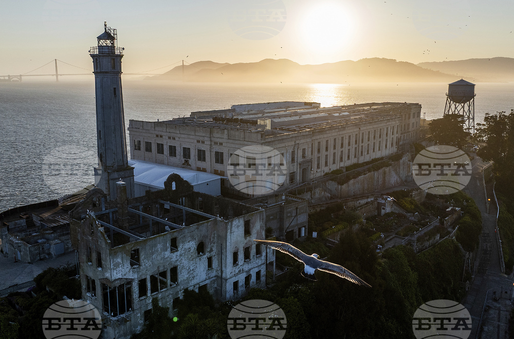 Trump Alcatraz