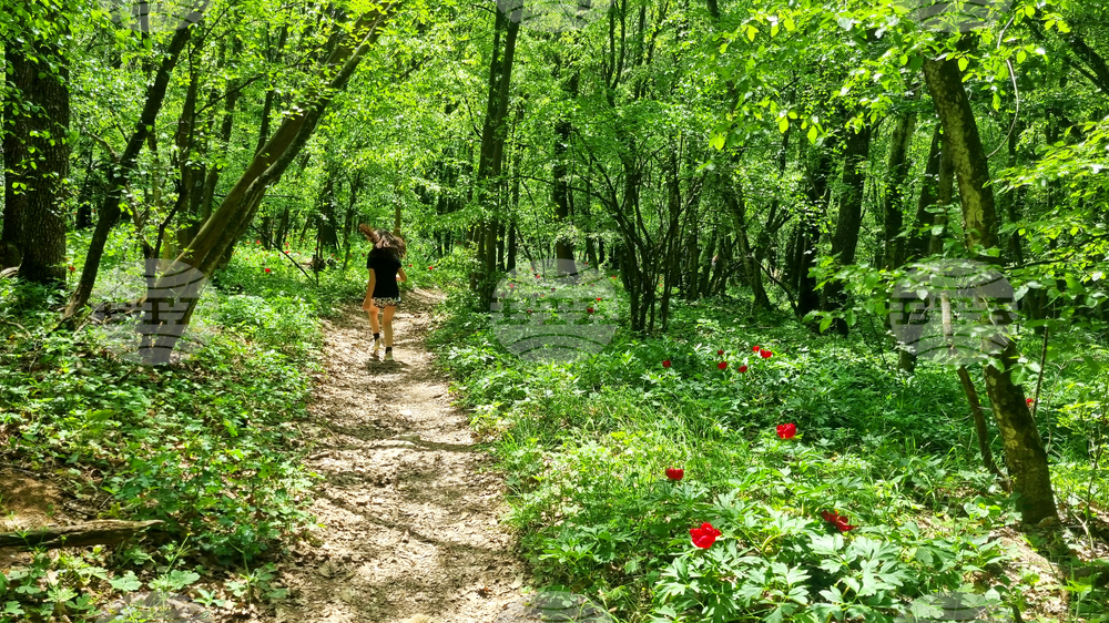 Прогноза за времето