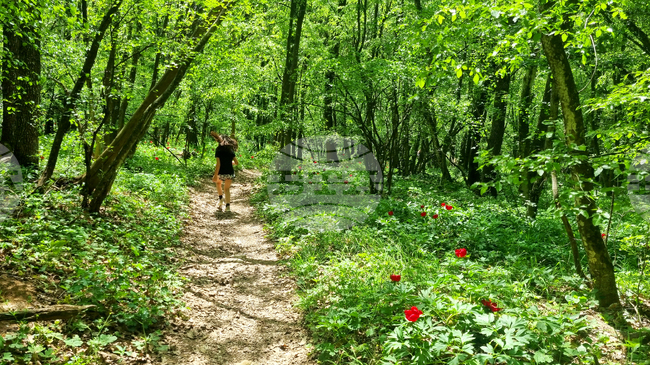 Прогноза за времето