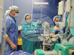 Снимка: Военномедицинска академия