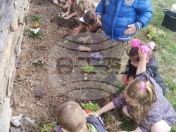 Зелено образование чрез игри и наблюдения в детската градина "Незабравка" формира умения за бъдещето. Снимка: МОН