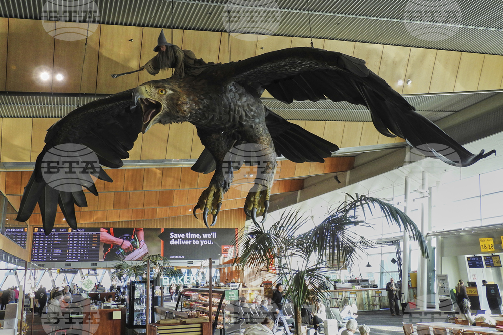 New Zealand Airport Eagles