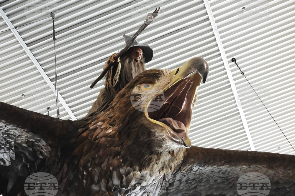 New Zealand Airport Eagles