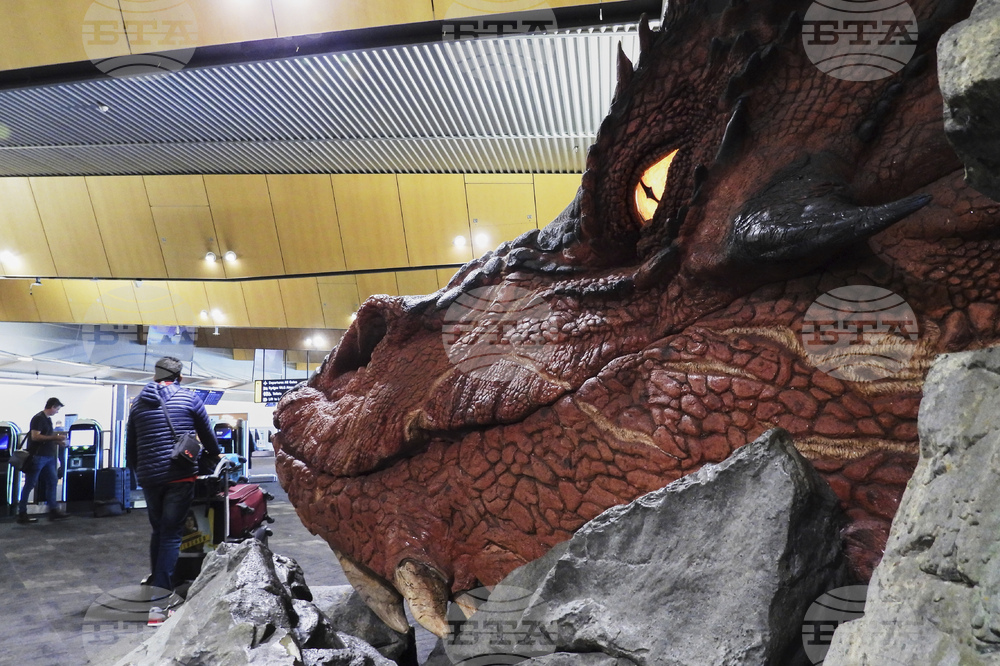 New Zealand Airport Eagles