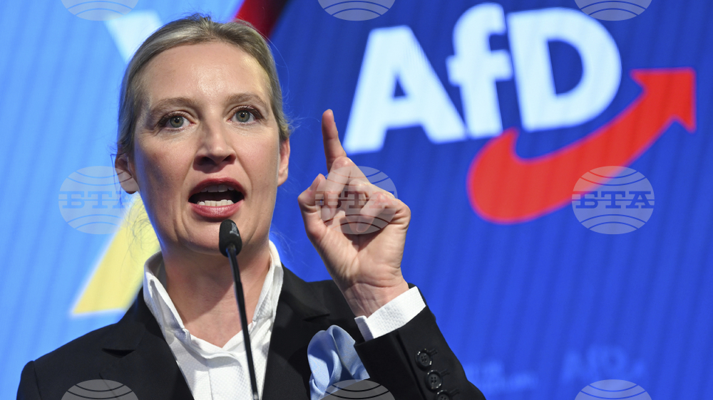 Смъртта на кандидати от "Алтернатива за Германия" за местни избори в германска провинция породи спекулации