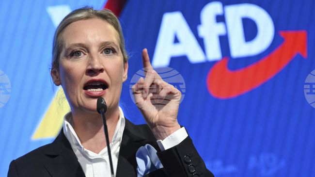"Алтернатива за Германия" планира да създаде нова младежка организация 