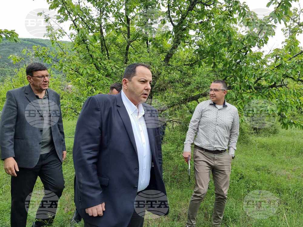 Farmers across Bulgaria Submit 5,000+ Compensation Claims after April Frosts