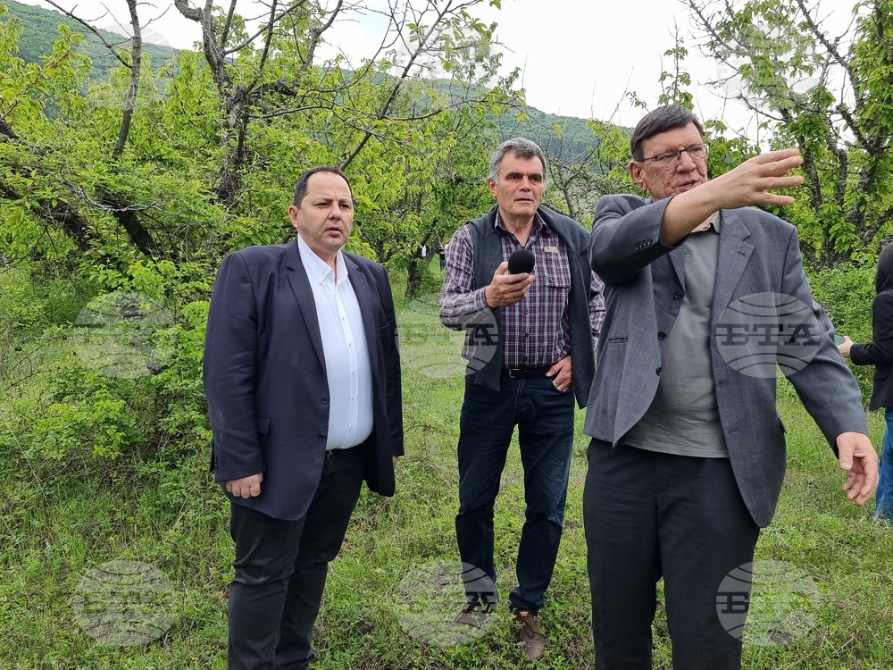 Село Коняво - овощни градини - проверка