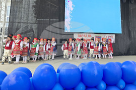 Петрич - "Парад на професиите"