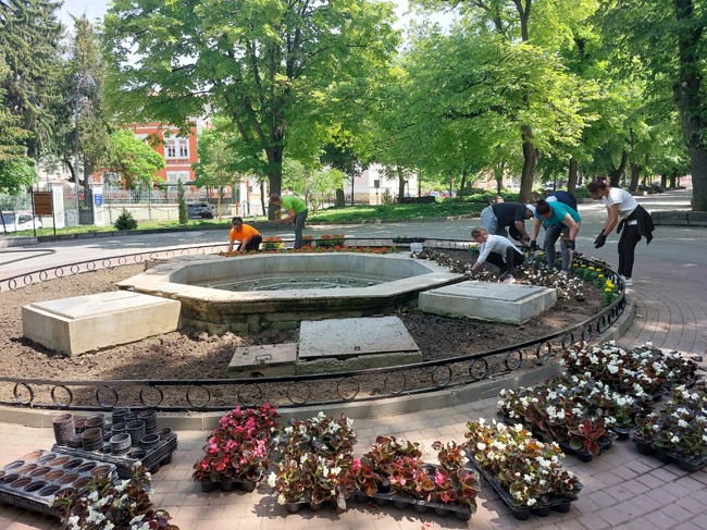 В рамките на няколко дни 25 хиляди стръка пролетни цветя ще бъдат засадени в Свищов