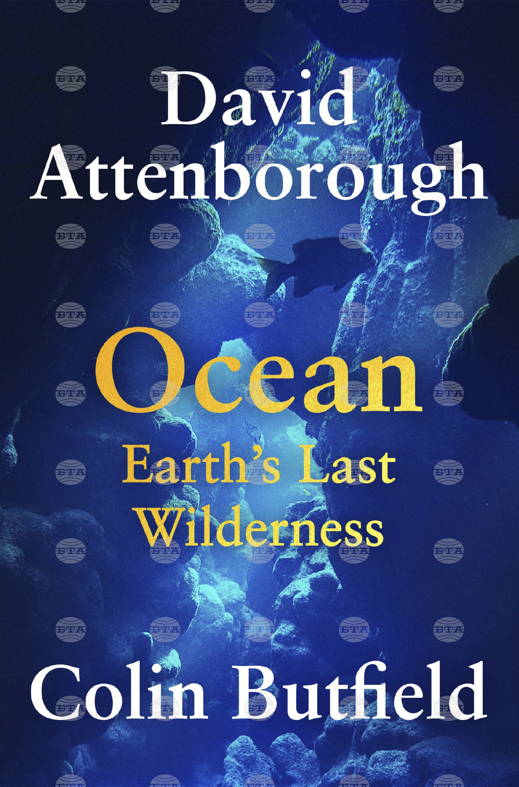 Book Review - Ocean