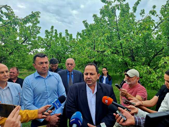 МЗХ: Земеделски стопани подадоха заявления за измръзване за над 300 000 декара