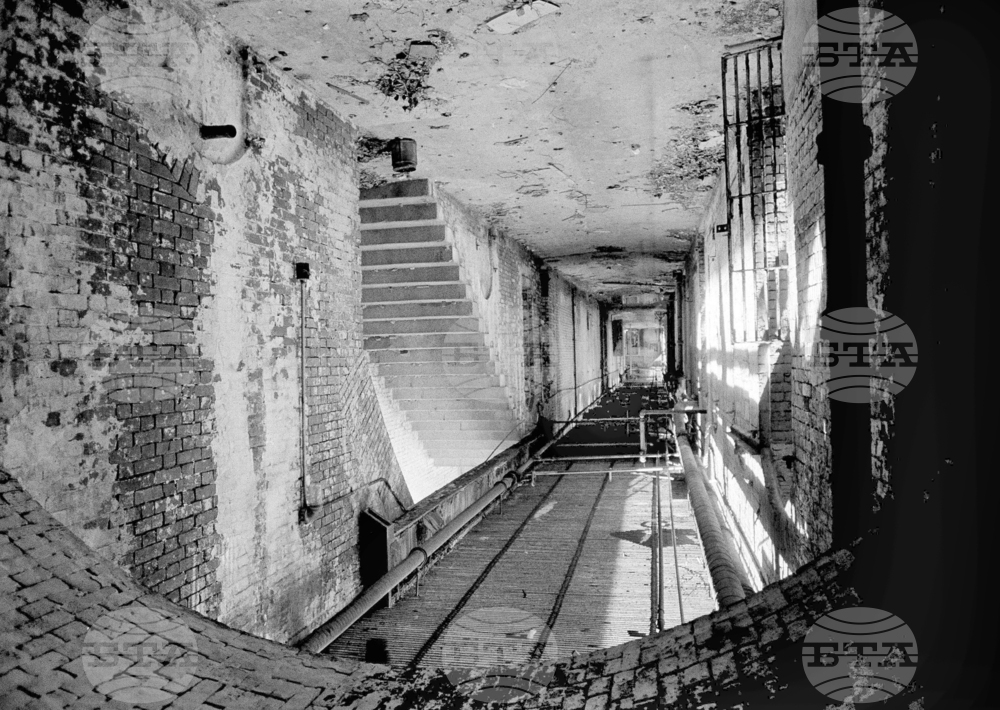 Trump Alcatraz