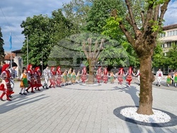 Вършец - литийно шествие - светец - мощи - посрещане