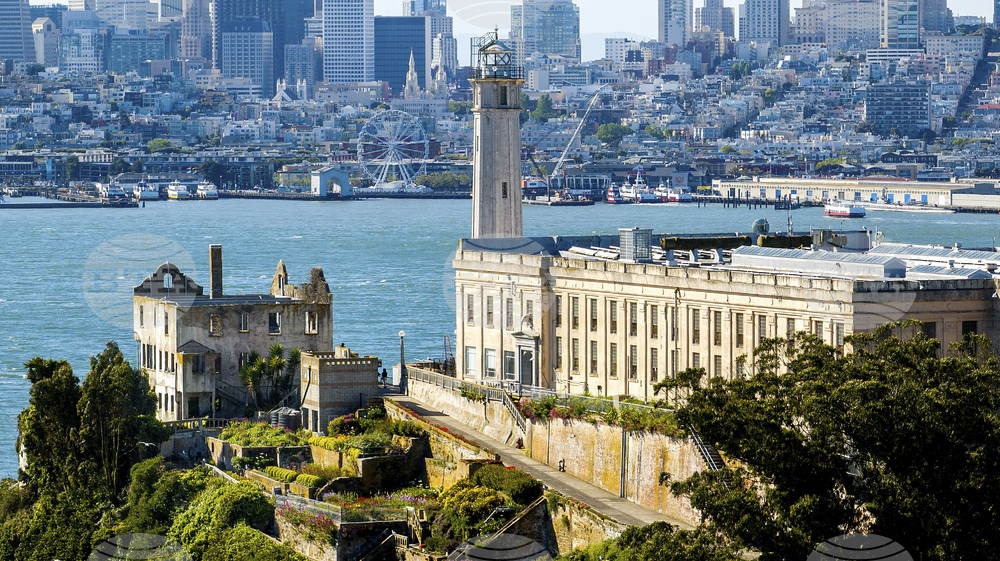 Trump Alcatraz