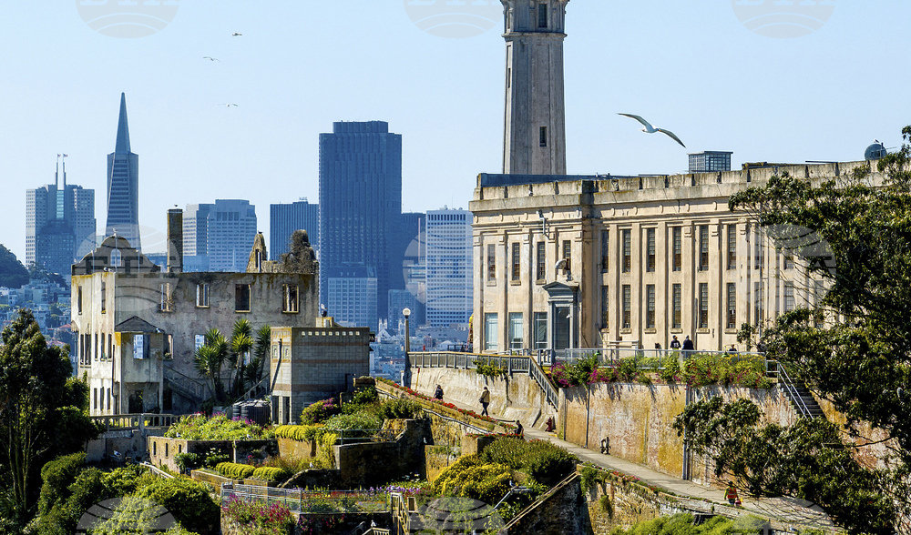Trump Alcatraz