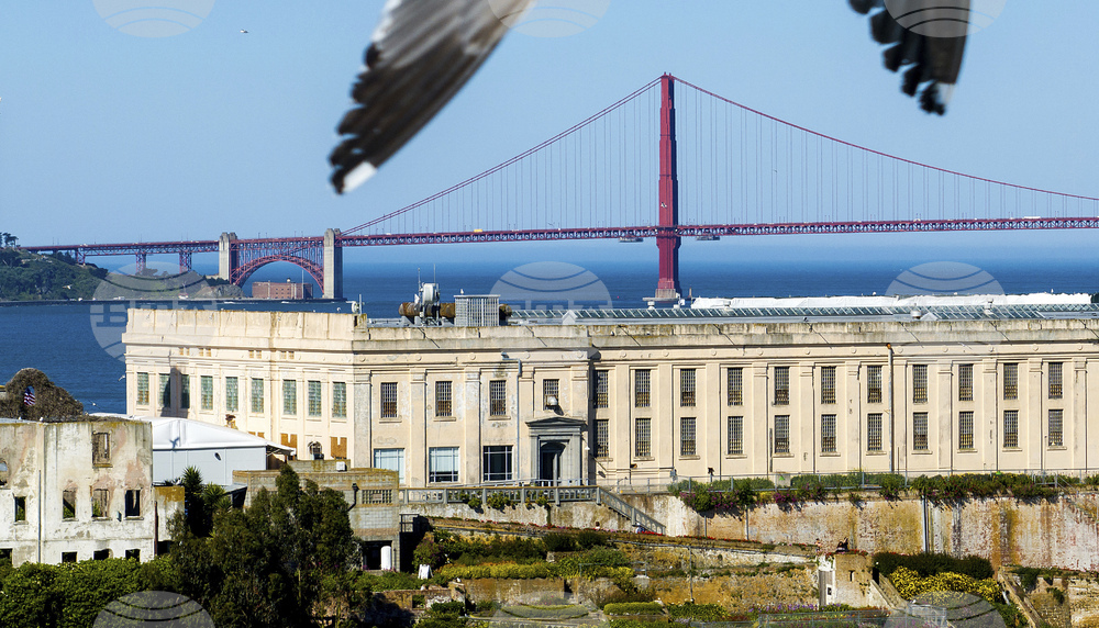 Trump Alcatraz