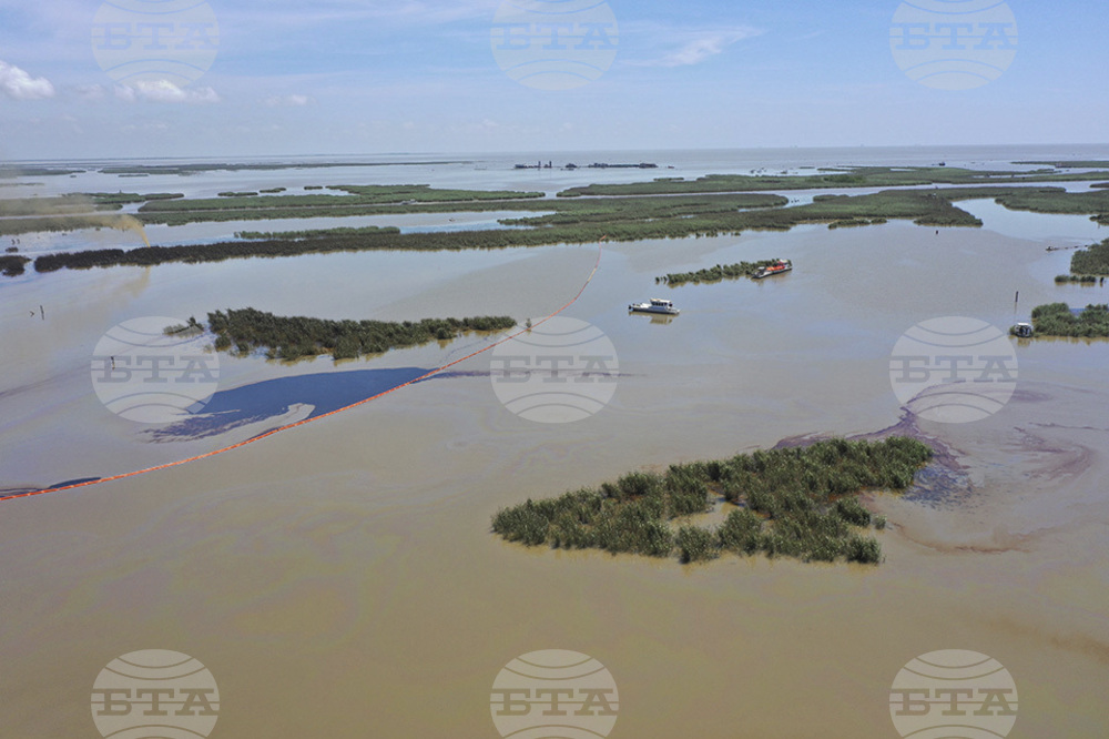 Louisiana Oil Spill Clean Up