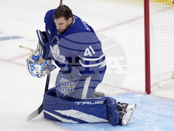 Panthers Maple Leafs Hockey