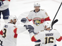 Panthers Maple Leafs Hockey