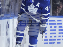 Panthers Maple Leafs Hockey