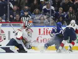 Panthers Maple Leafs Hockey