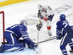 Panthers Maple Leafs Hockey