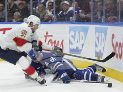 Panthers Maple Leafs Hockey