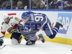 Panthers Maple Leafs Hockey