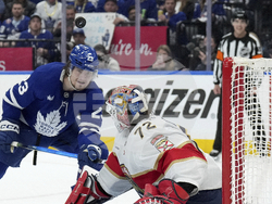 Panthers Maple Leafs Hockey