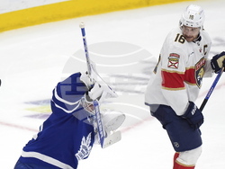 Panthers Maple Leafs Hockey