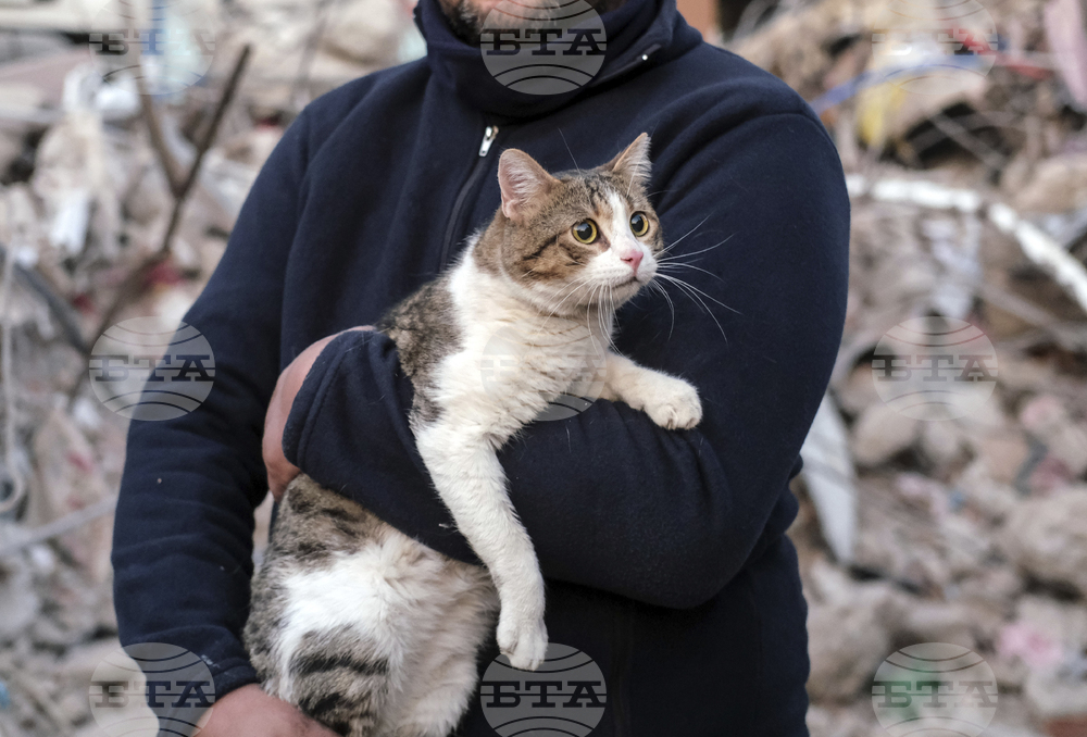 Професионален колоездач глобен за убийството на котката на политик с въздушна пушка
