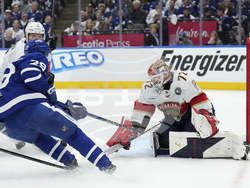 Panthers Maple Leafs Hockey