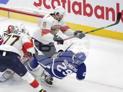 Panthers Maple Leafs Hockey