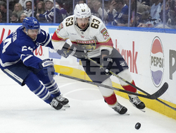 Panthers Maple Leafs Hockey