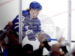 Panthers Maple Leafs Hockey