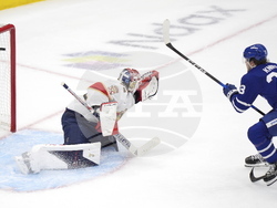 Panthers Maple Leafs Hockey