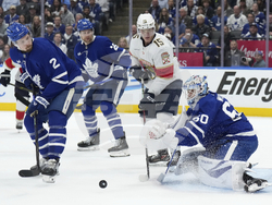 Panthers Maple Leafs Hockey